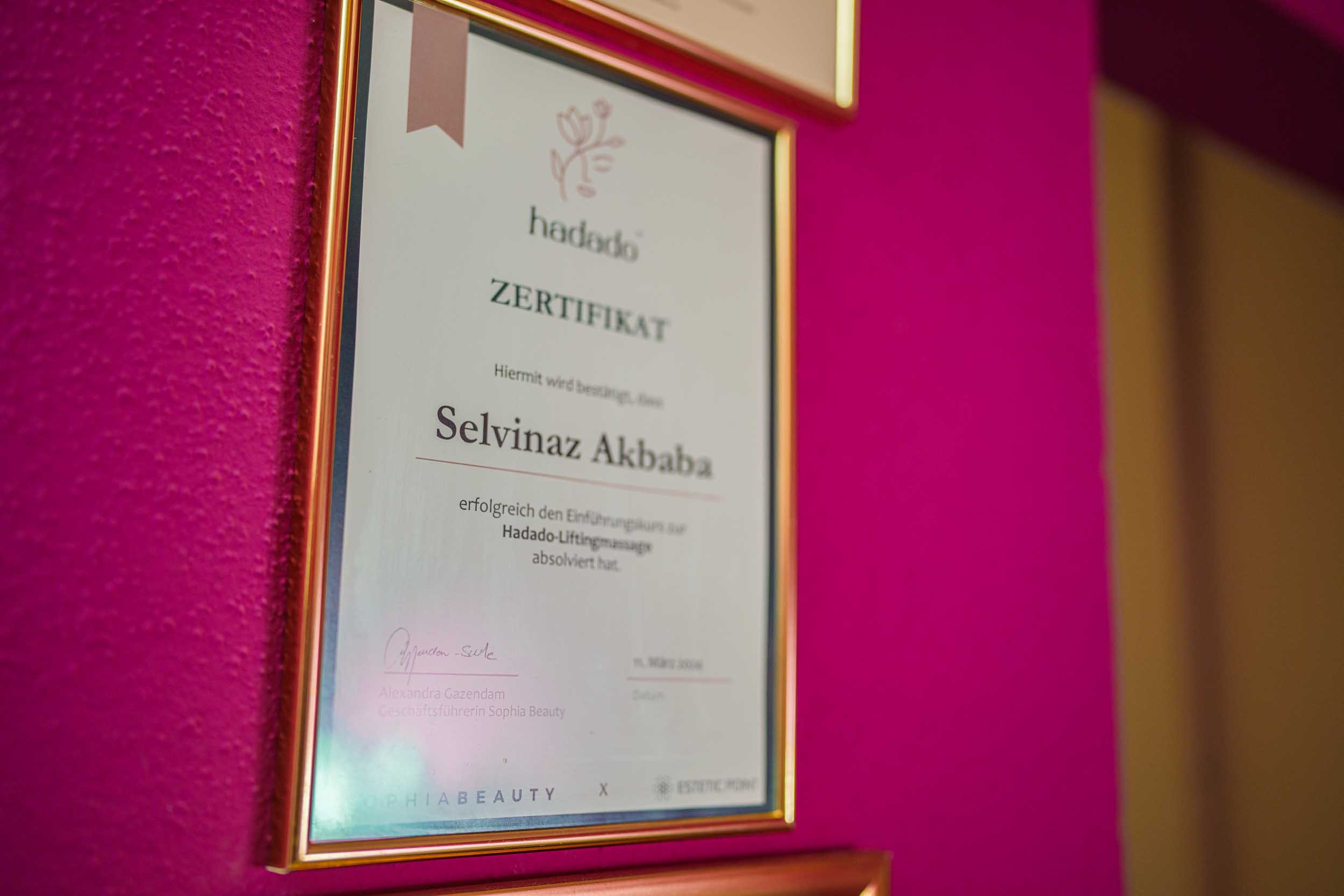 Flügelwerkstatt Burghausen (38)